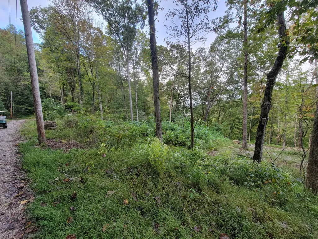 150 Punchs End Burnside KY 42519