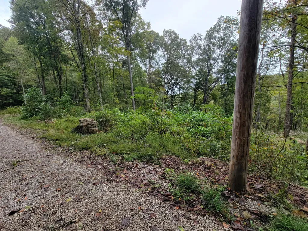 150 Punchs End Burnside KY 42519
