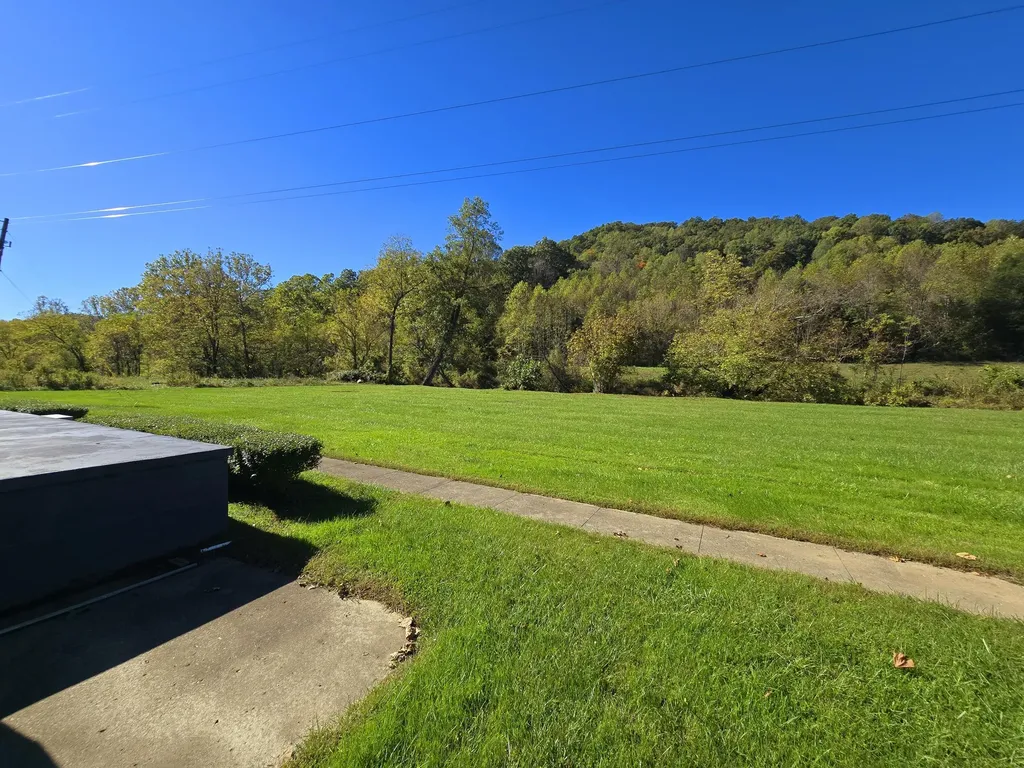 163 Eulett Lane Vanceburg KY 41179