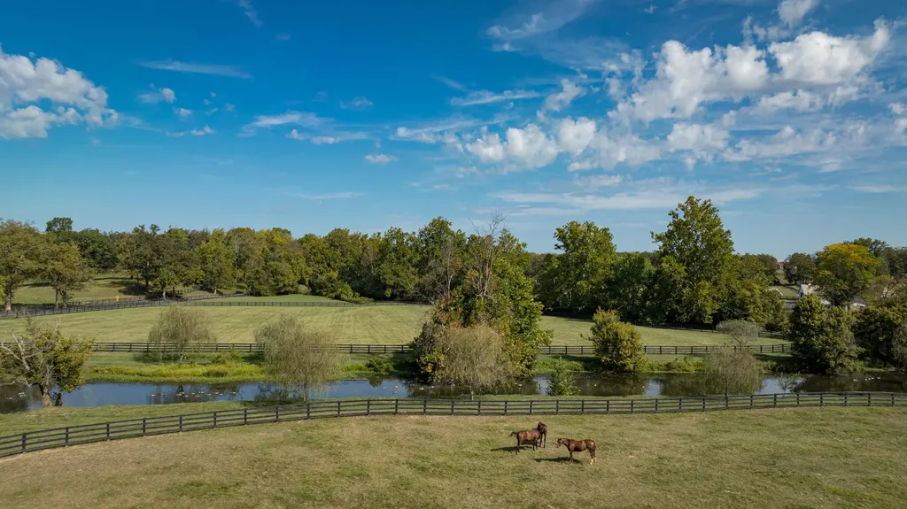 3521 Bryan Station Road Lexington KY 40516