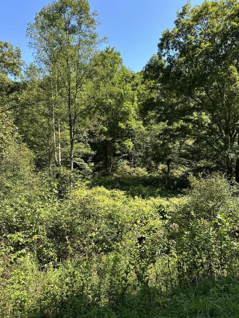 0 Hooker Road Manchester KY 40962