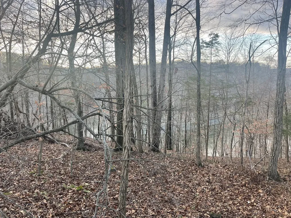 Lot 82 Pleasant View Nancy KY 42544