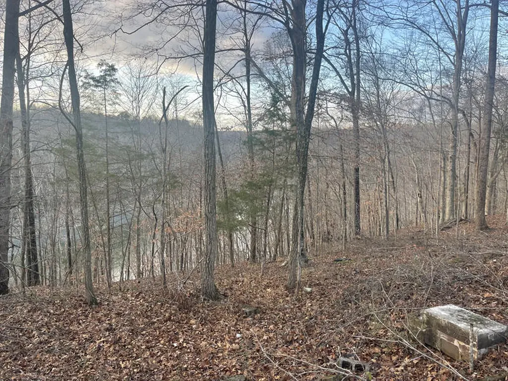 Lot 82 Pleasant View Nancy KY 42544