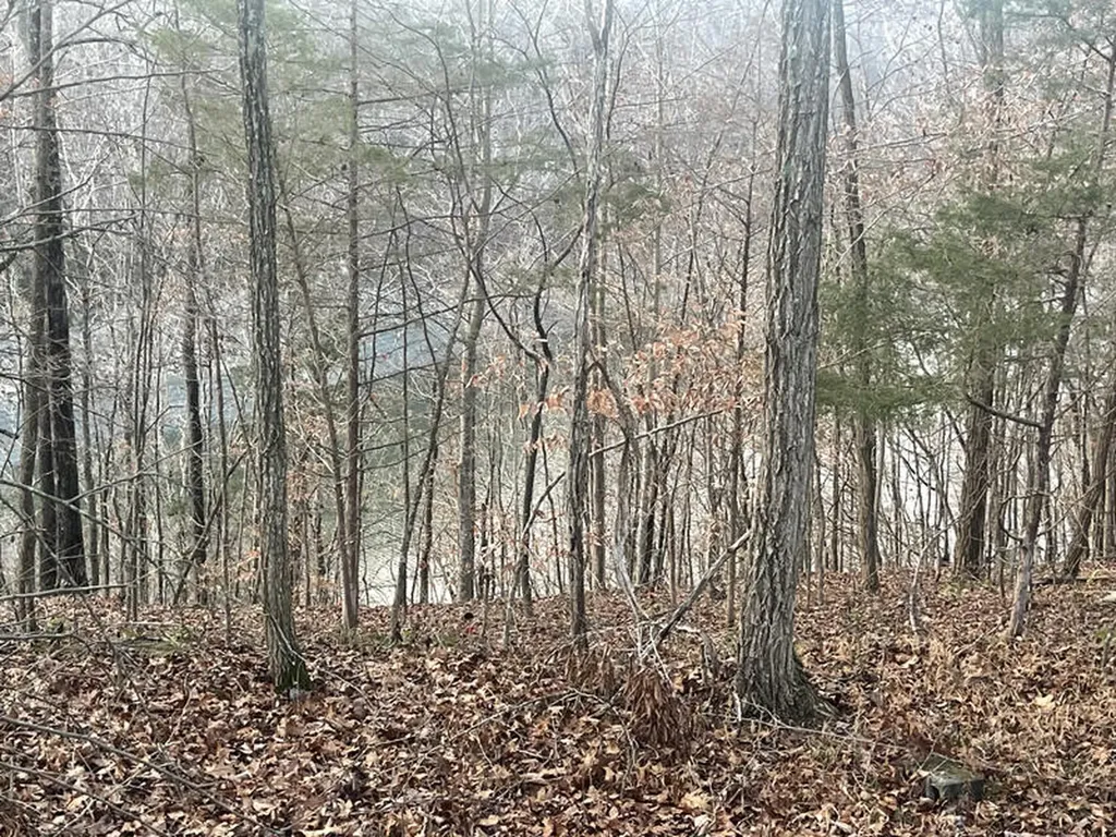 Lot 82 Pleasant View Nancy KY 42544