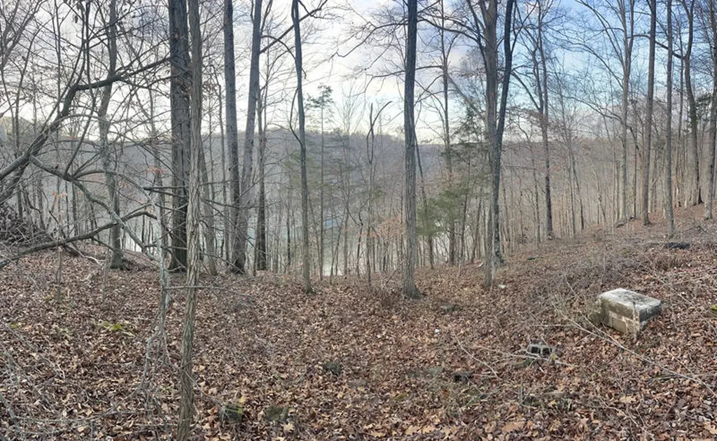 Lot 82 Pleasant View Nancy KY 42544