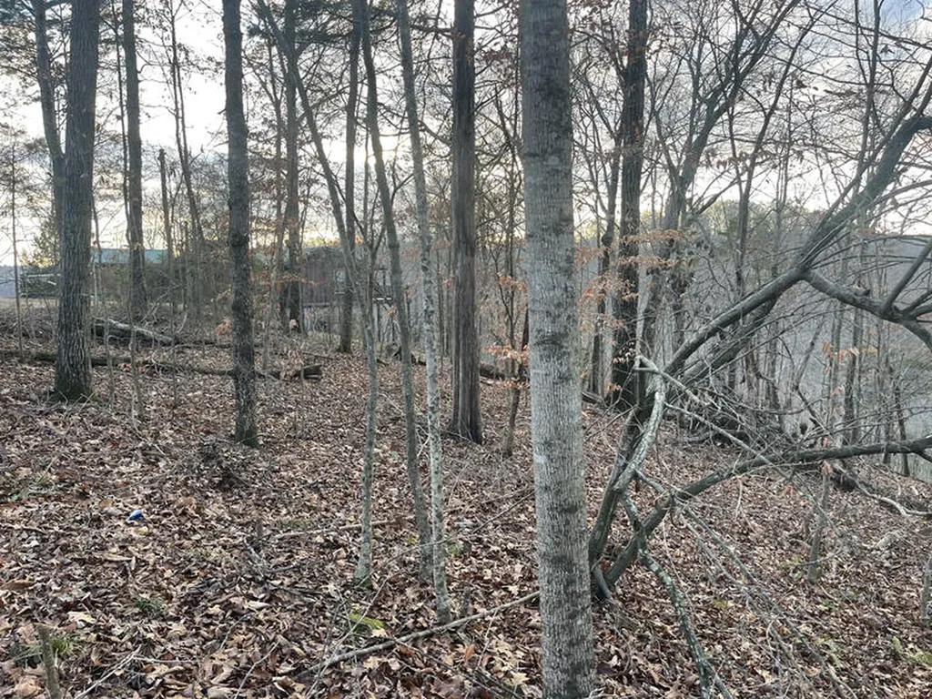 Lot 82 Pleasant View Nancy KY 42544