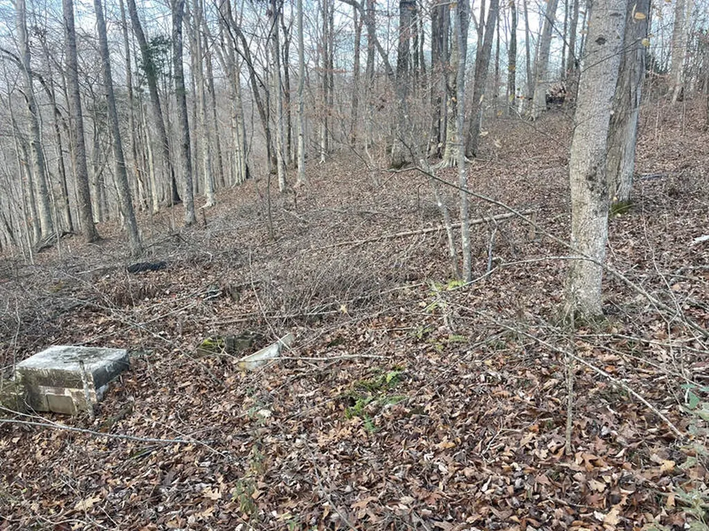 Lot 82 Pleasant View Nancy KY 42544