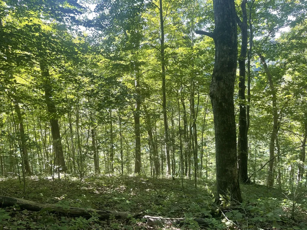 Lot 82 Pleasant View Nancy KY 42544