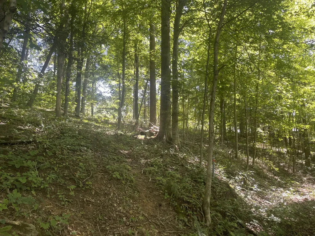 Lot 82 Pleasant View Nancy KY 42544