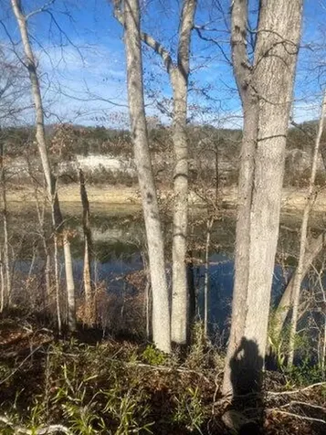 1606 Lakeview Avenue Burnside KY 41519
