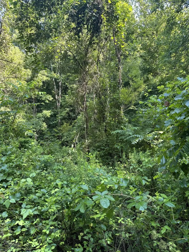 9999 Glade Branch Manchester KY 40962