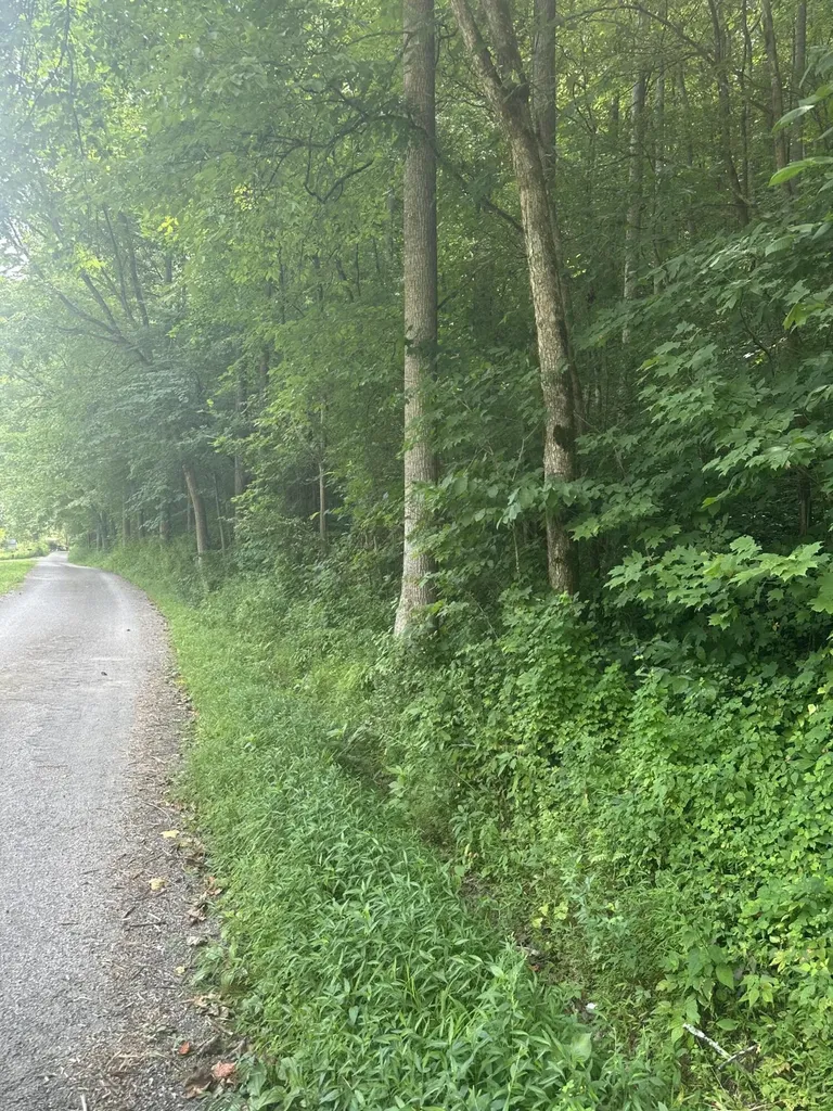 9999 May Fork Road Manchester KY 40962