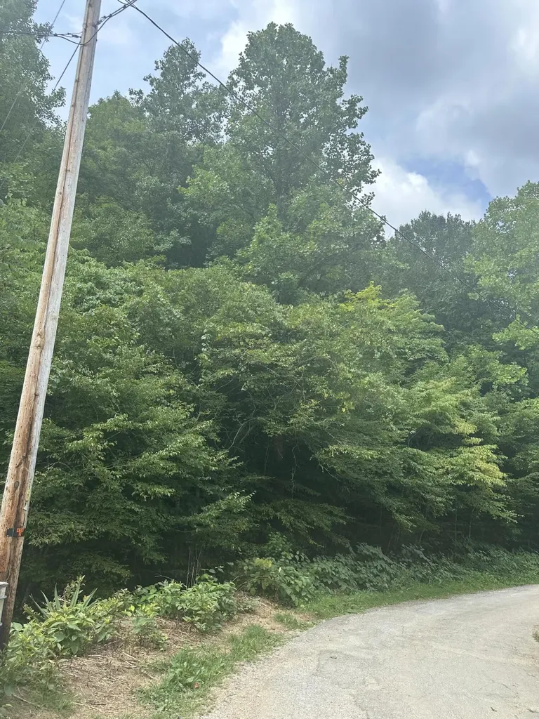 9999 May Fork Road Manchester KY 40962