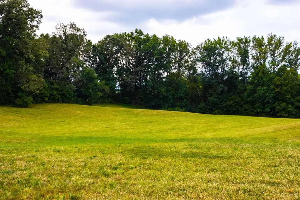 217 N Cave Springs Road Somerset KY 42503