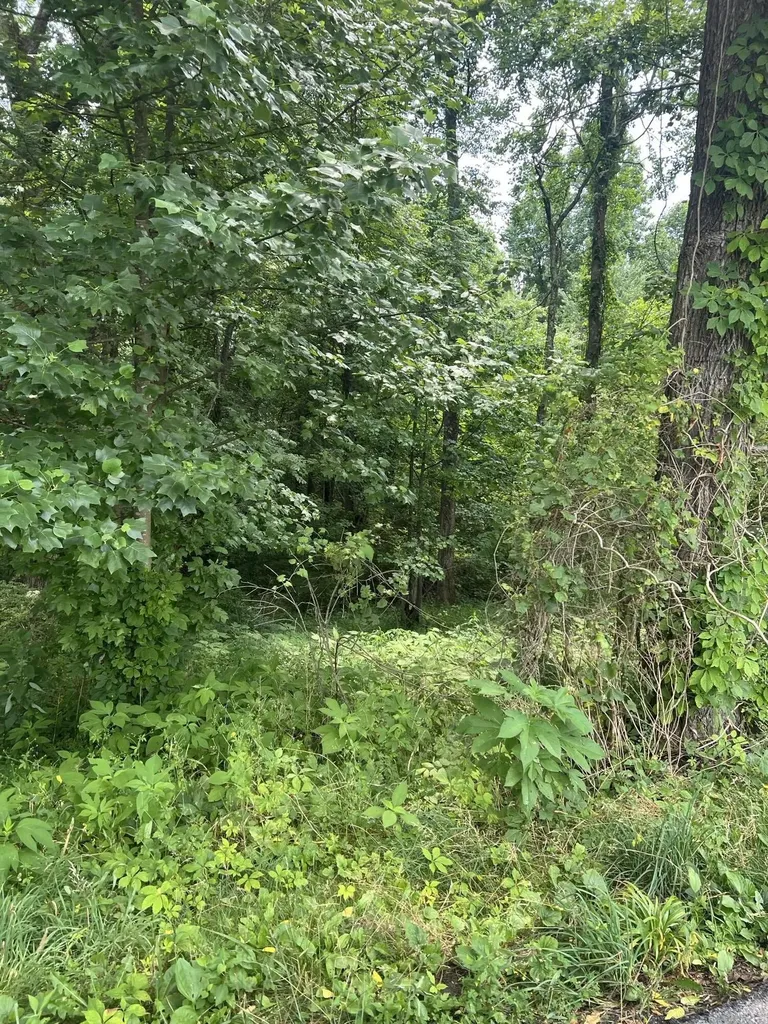 111 Terrell Road Corbin KY 40701