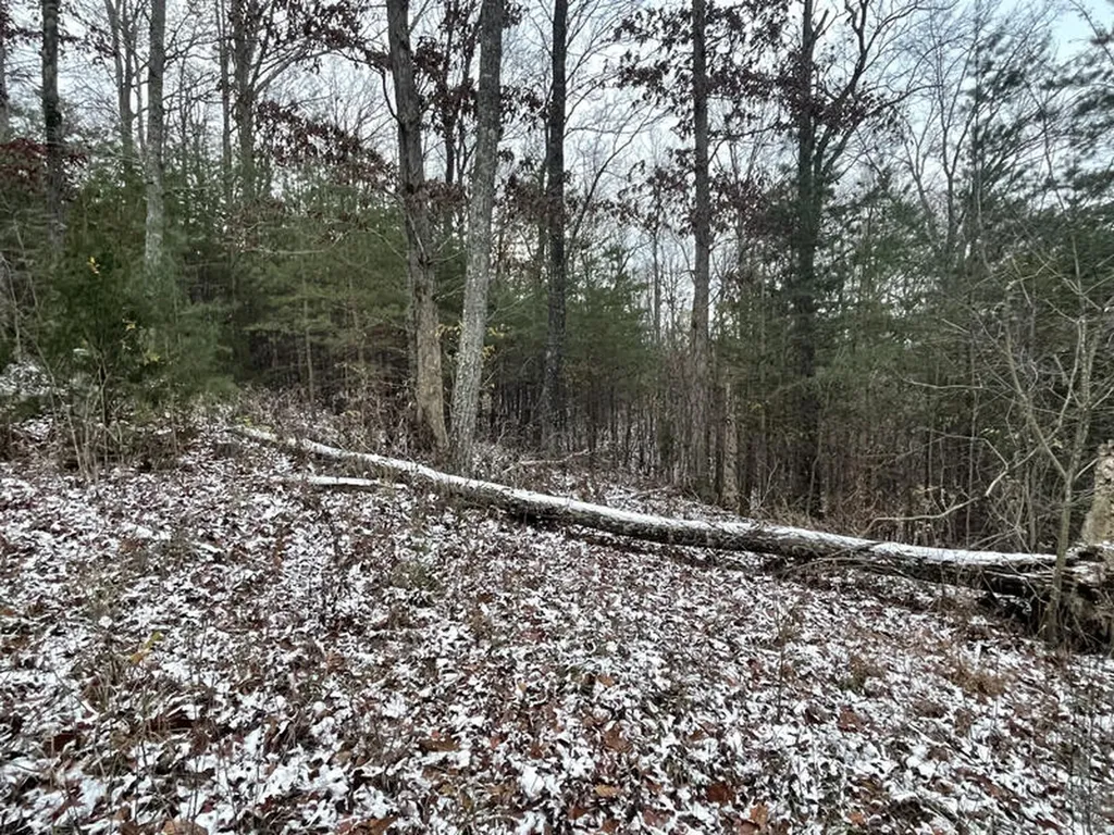 Lot 35 Sandstone Point Monticello KY 42633