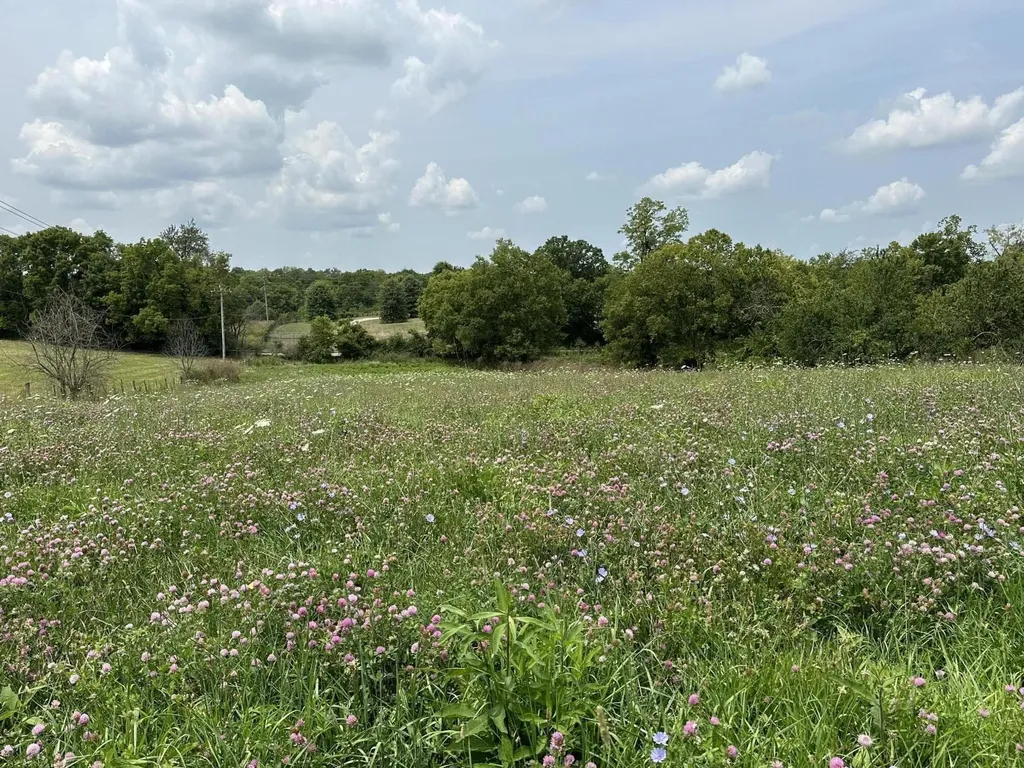 1099 Lloyd Road Georgetown KY 40324
