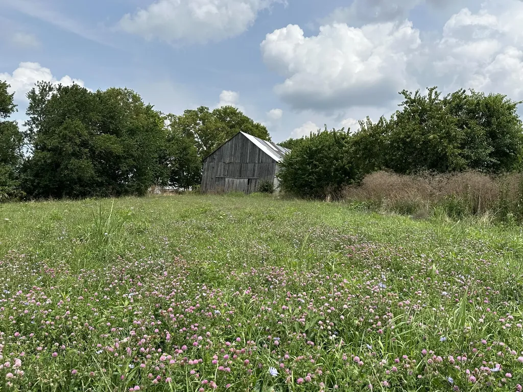 1099 Lloyd Road Georgetown KY 40324