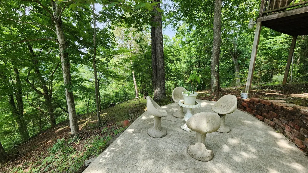 55 Lakeview Drive Albany KY 42602
