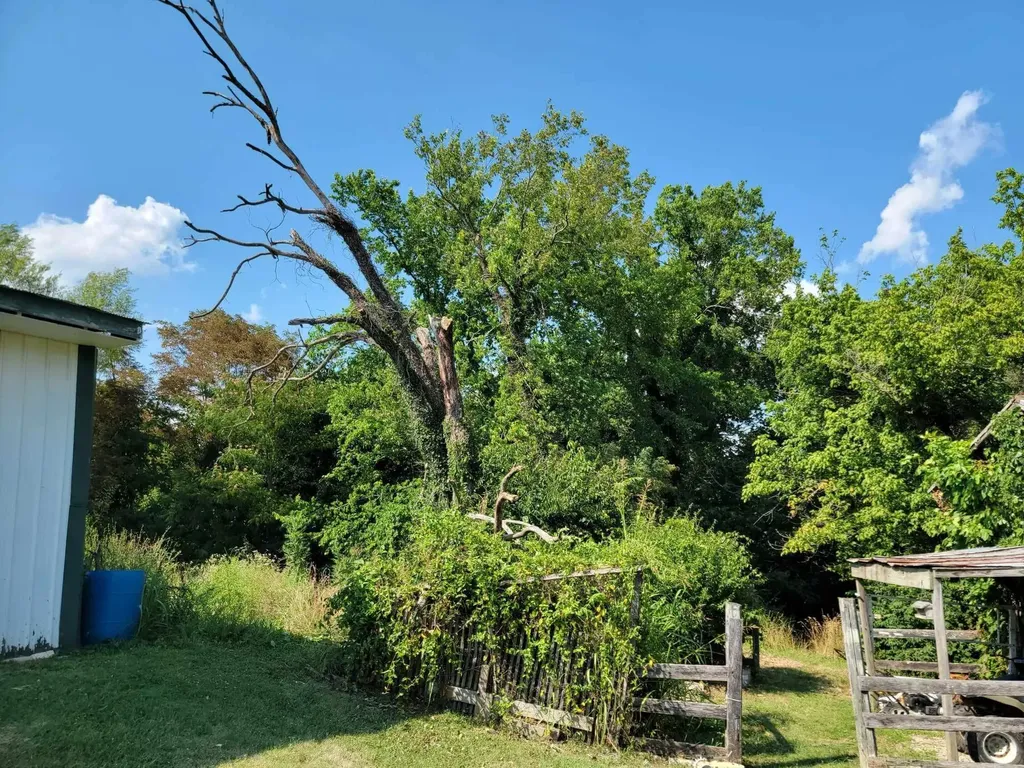 159 E Walnut Street Mount Olivet KY 41064