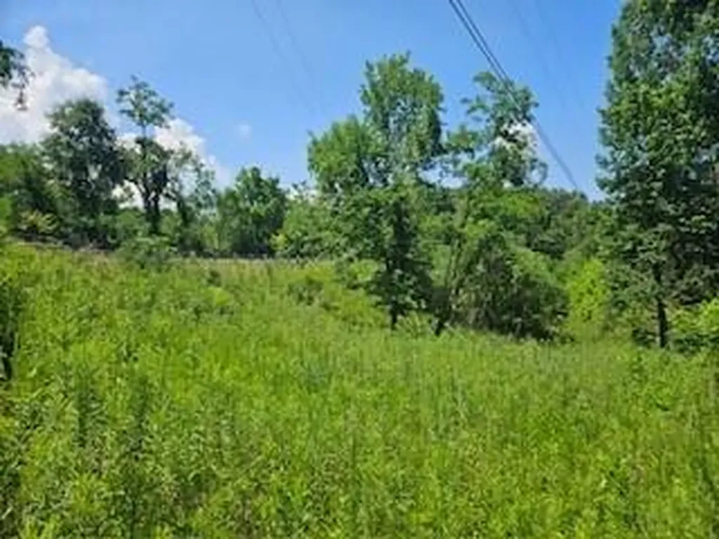 0 Leatherwood Salt Lick KY 40371