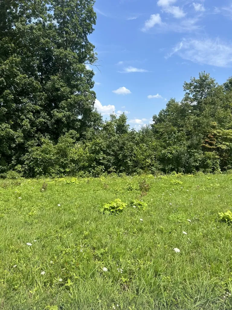 Lot Serenity Nancy KY 42544