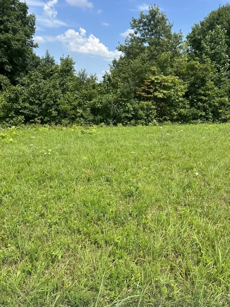 Lot Serenity Nancy KY 42544