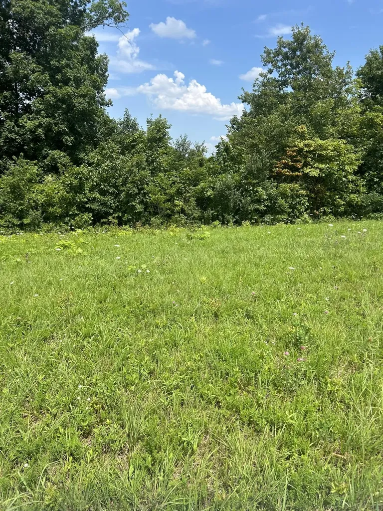 Lot Serenity Nancy KY 42544