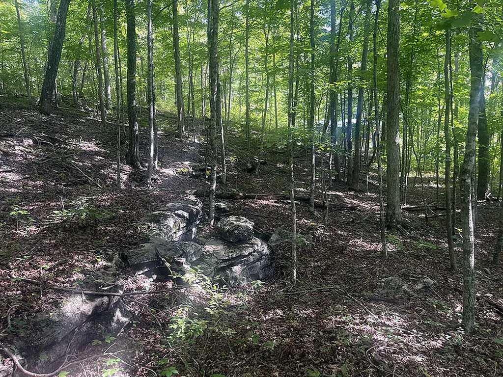 Lot 41 Paradise Acres Somerset KY 42501