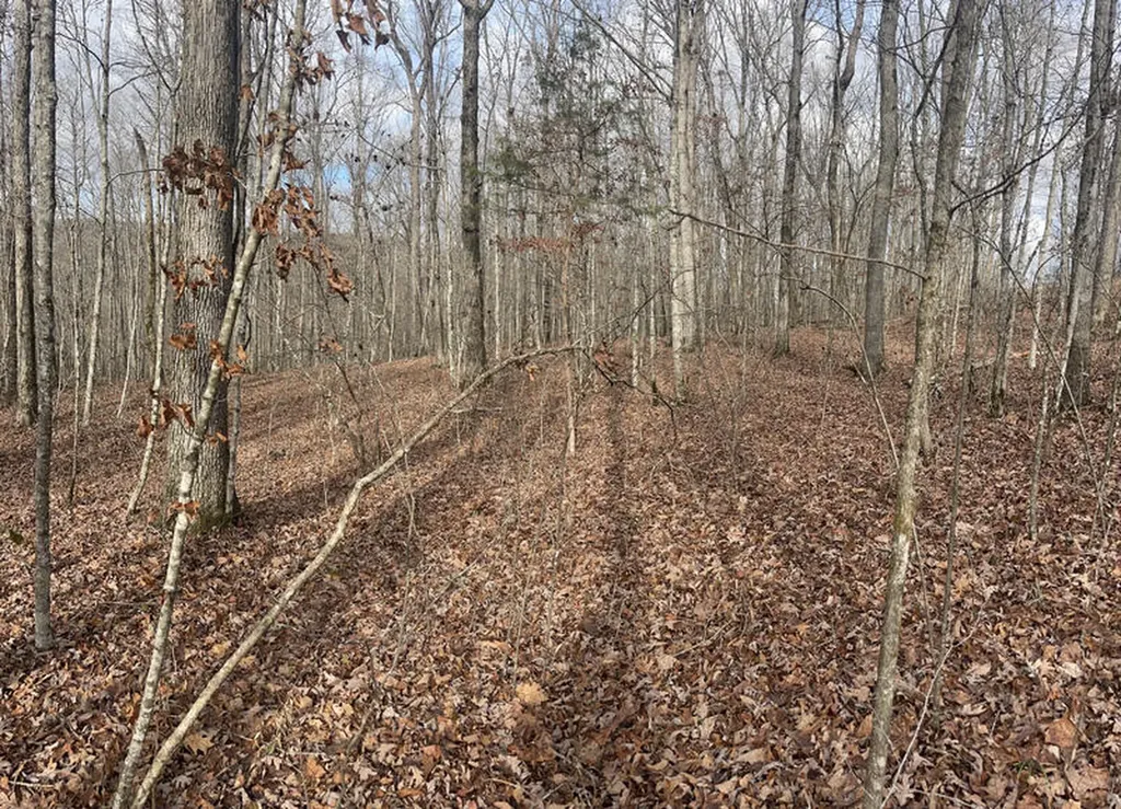 Lot 41 Paradise Acres Somerset KY 42501