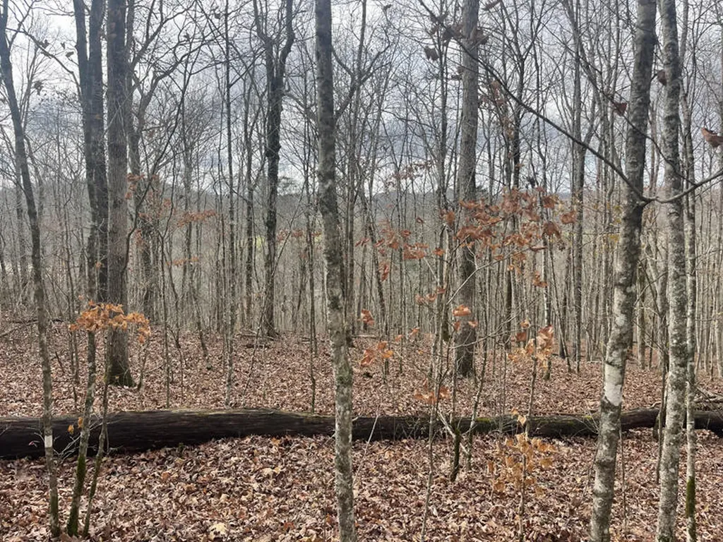 Lot 41 Paradise Acres Somerset KY 42501