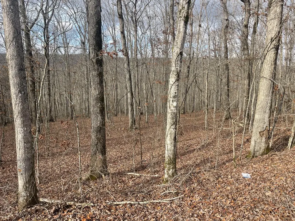 Lot 41 Paradise Acres Somerset KY 42501