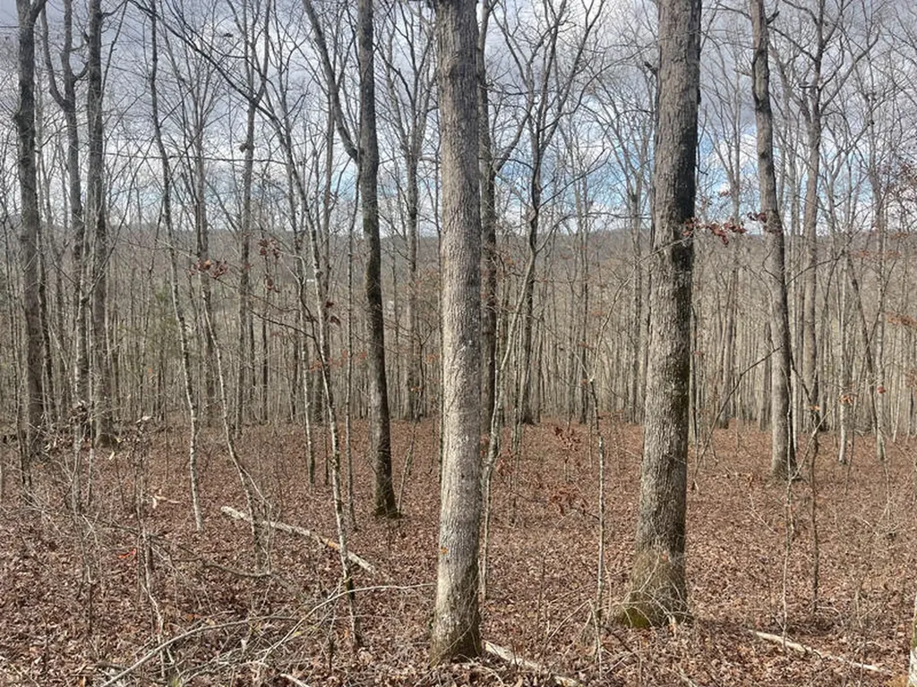 Lot 41 Paradise Acres Somerset KY 42501