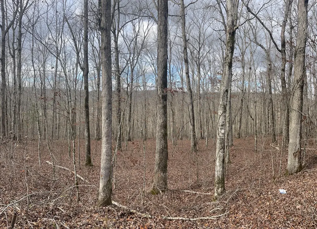 Lot 41 Paradise Acres Somerset KY 42501