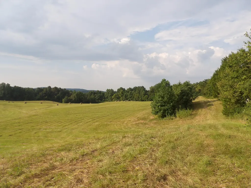 371 Dug Road Monticello KY 42633