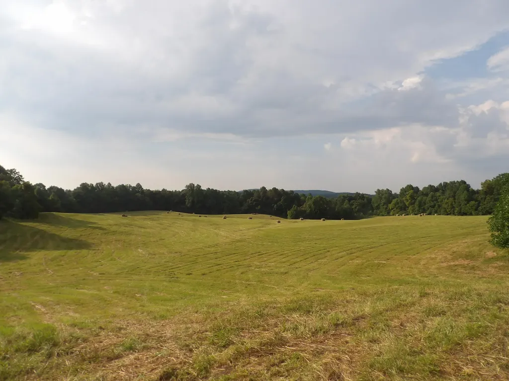 371 Dug Road Monticello KY 42633