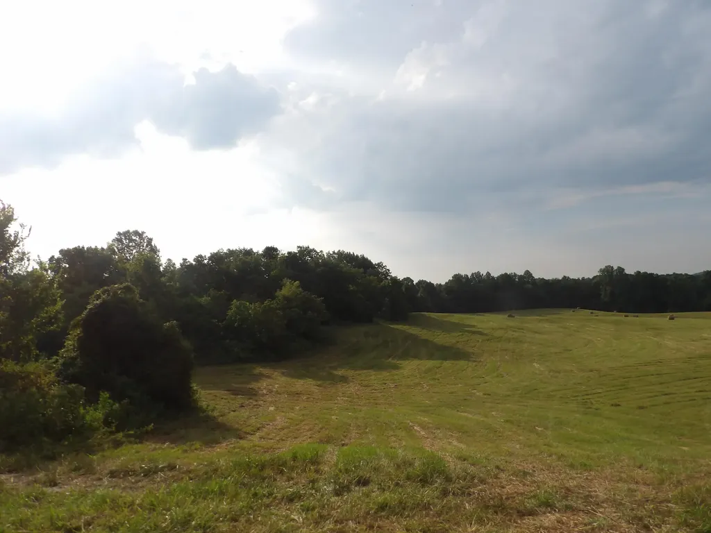 371 Dug Road Monticello KY 42633