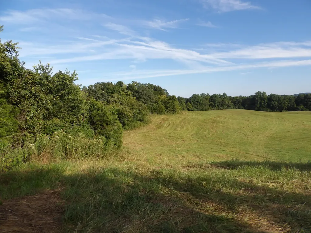371 Dug Road Monticello KY 42633