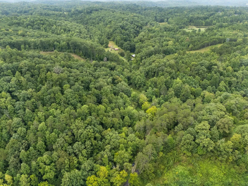 118 Bush Road Beattyville KY 41311