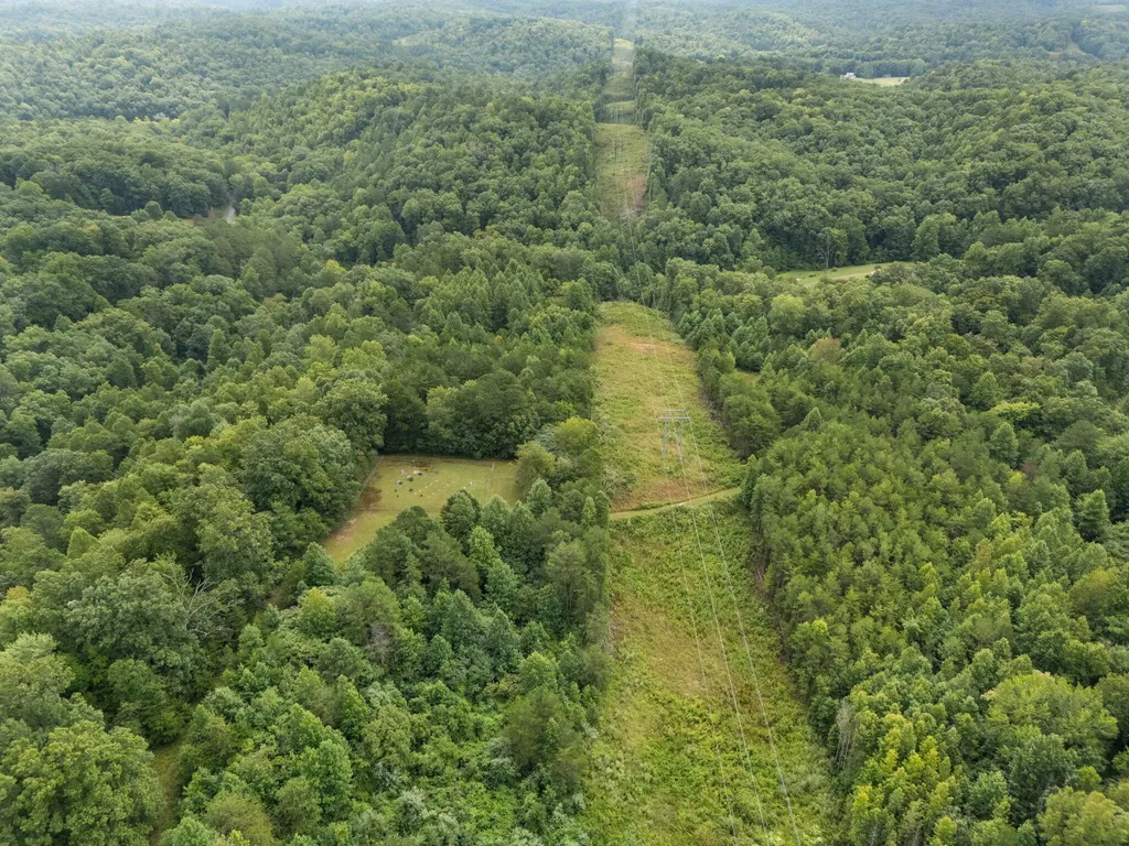 118 Bush Road Beattyville KY 41311
