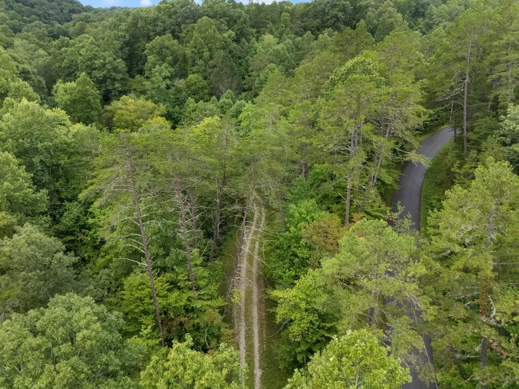 118 Bush Road Beattyville KY 41311