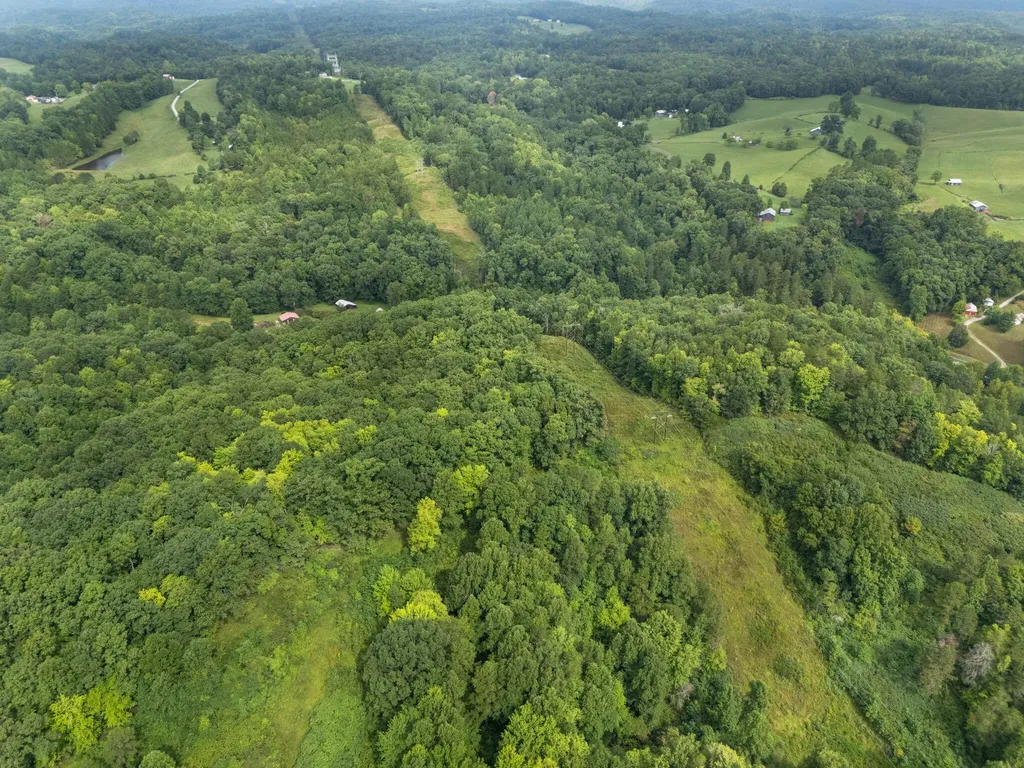 118 Bush Road Beattyville KY 41311