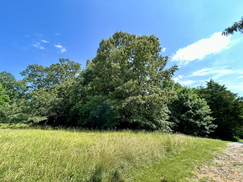 Lot 24a Beechwood Drive Nancy KY 42544