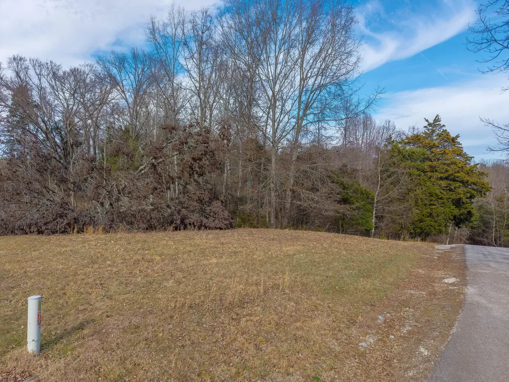 Lot 24a Beechwood Drive Nancy KY 42544