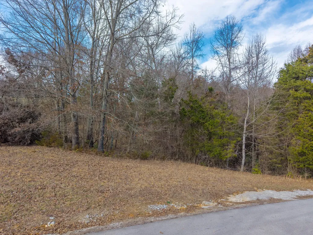 Lot 24a Beechwood Drive Nancy KY 42544