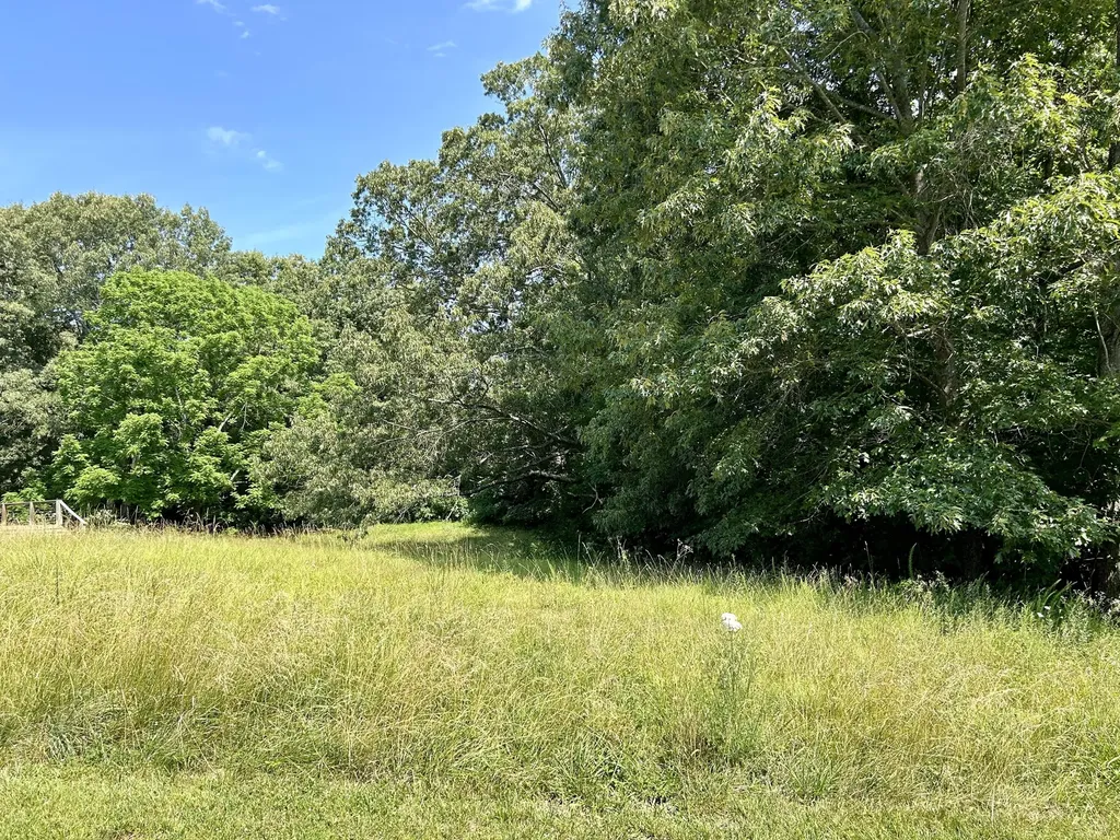 Lot 24a Beechwood Drive Nancy KY 42544