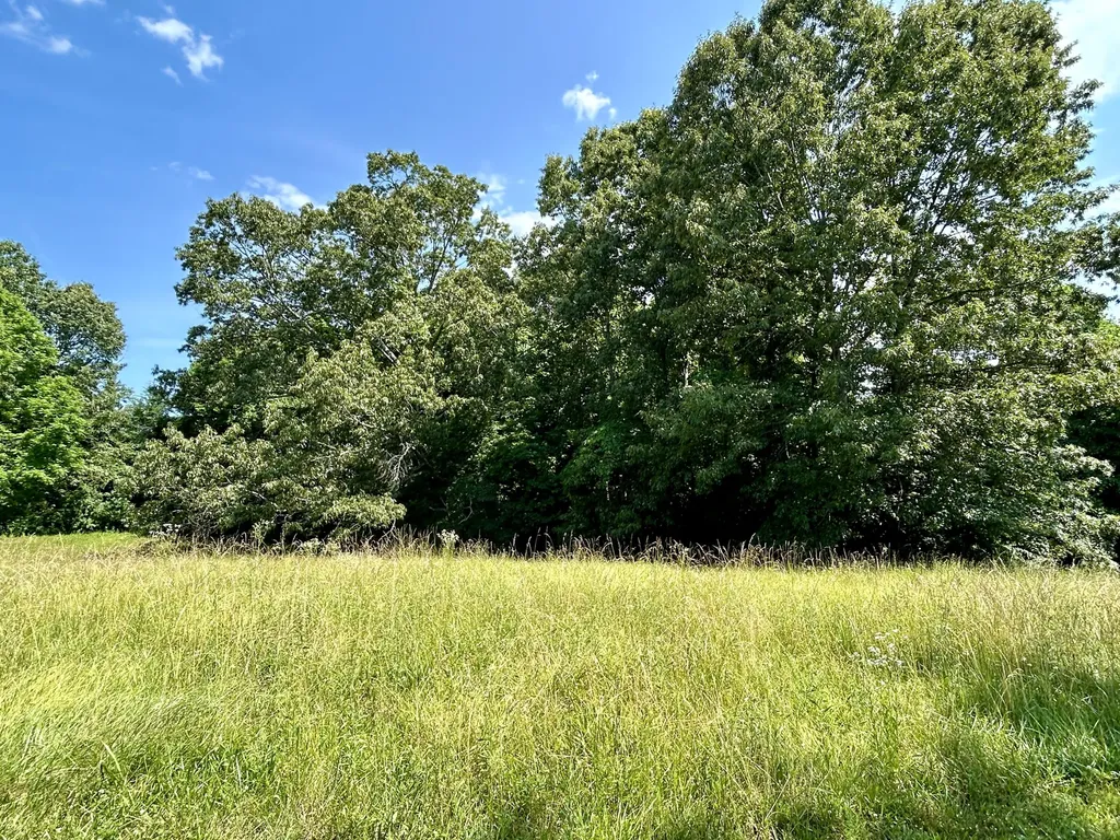 Lot 24a Beechwood Drive Nancy KY 42544