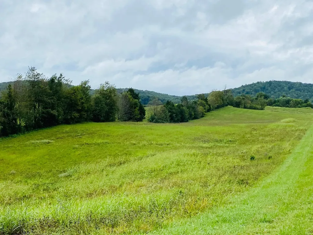 Phase 2, 11 Lighthouse Estates Monticello KY 42633