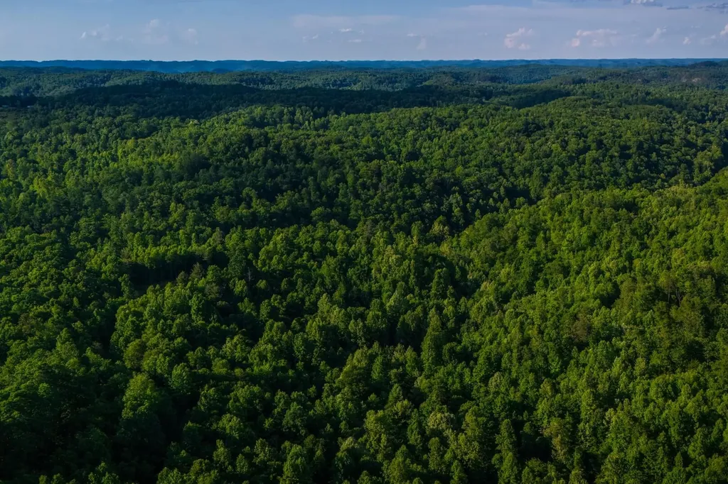 1 Mountain Springs Road Stanton KY 40380