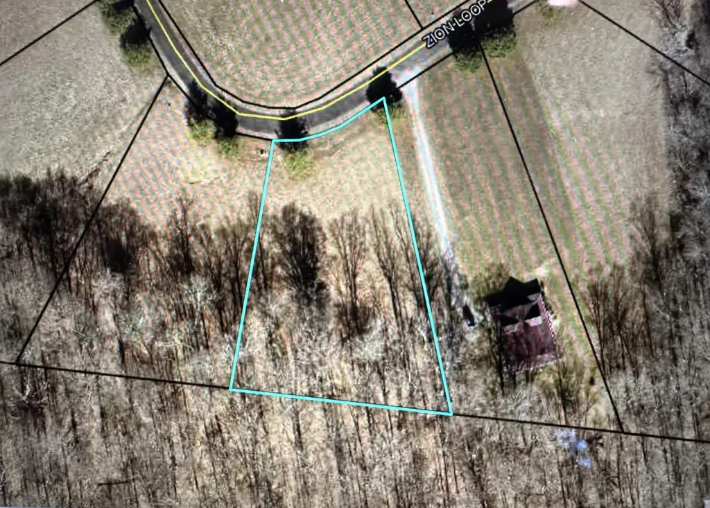 Lot 51 Zion Loop Russell Springs KY 42642